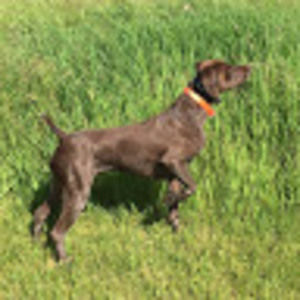 Meet your Posher, Vivian